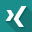 xing icon